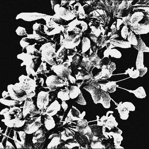 SPRING cover
