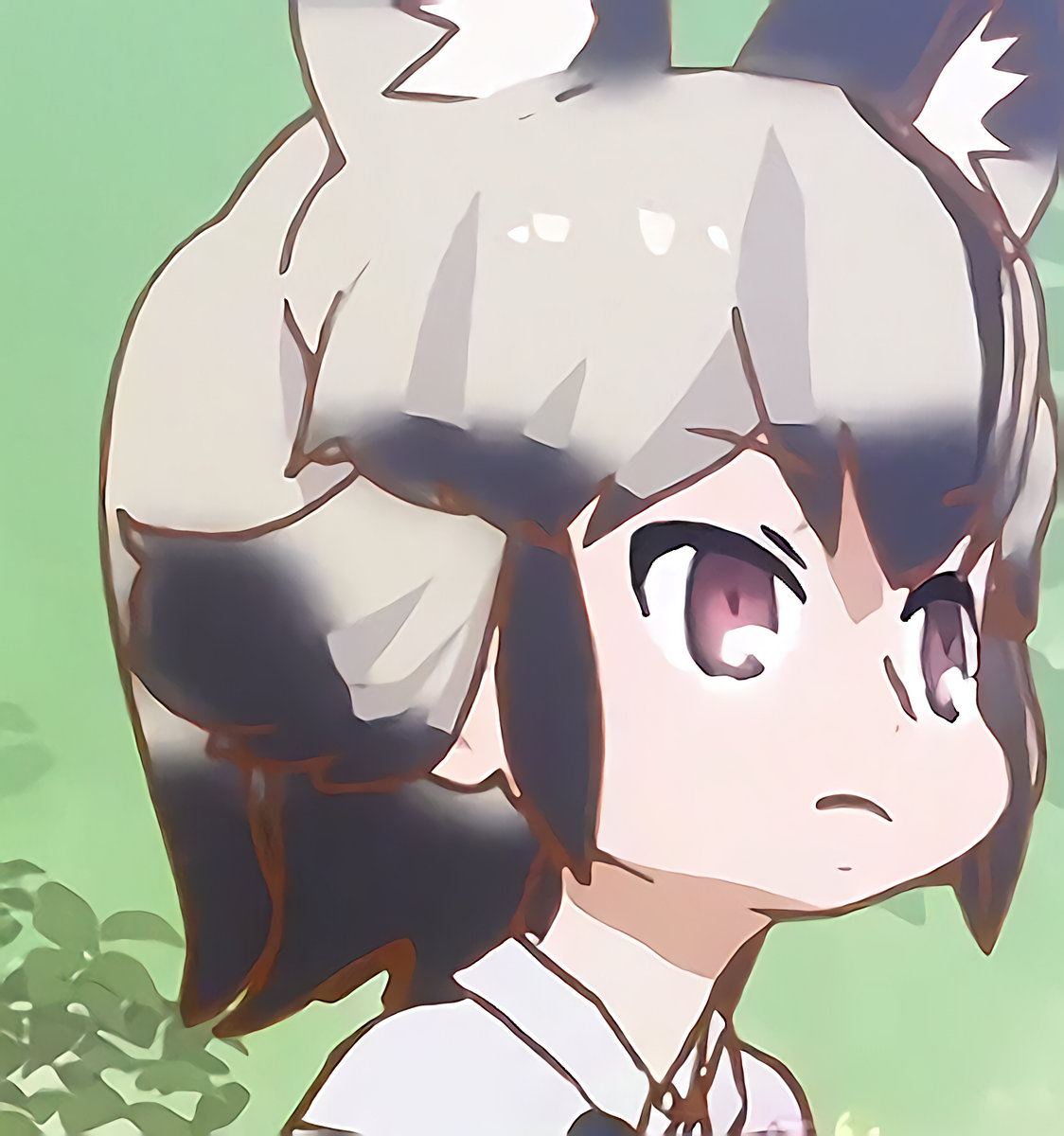 けものフレンズ Kemono Friends | NiV SKNCR