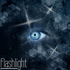 Flashlight cover