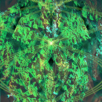 Craig Rath New Shore Every Time | Creation VI | Tim Six • Creation VI