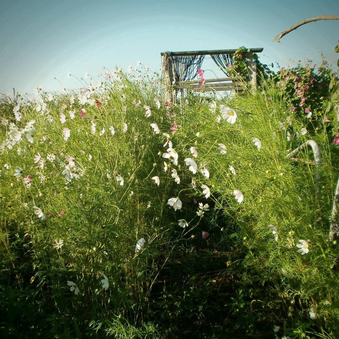 Demo | Meridian Blaze