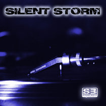 SILENT STORM — SILENT STORM - FOR THE RAVE