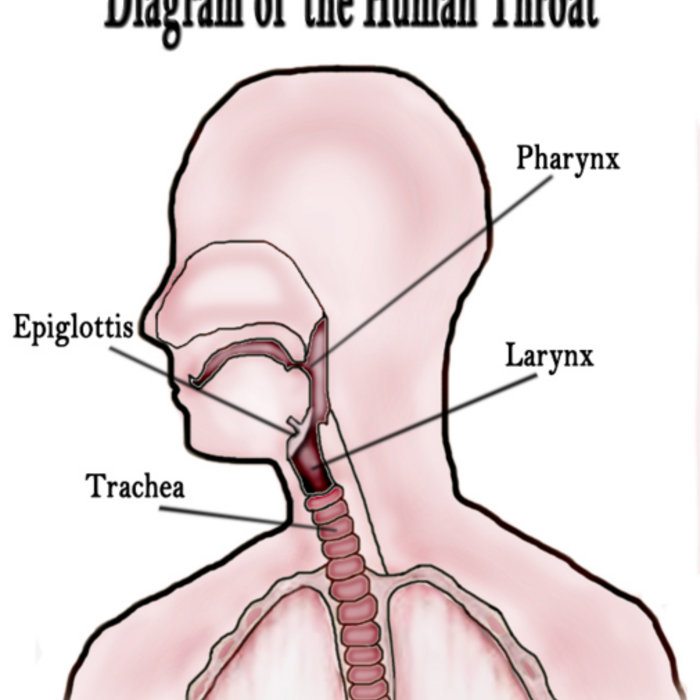 Sore Throats and Black Lungs EP Polyphonic Plectrum