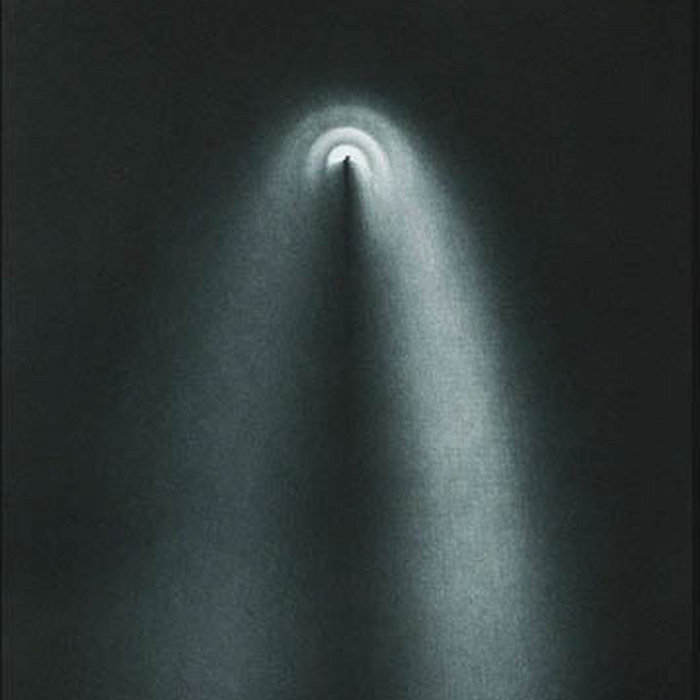 Stella Splendens Stella Splendens