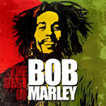 Bob Marley (Funky Town Remix)