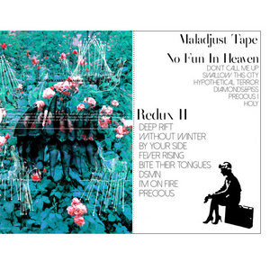 REDUX II cover