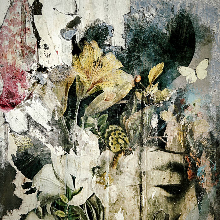 Thrustfall
von Vinicius Cajado