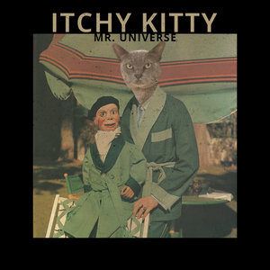 Itchy Kitty — Mr. Universe