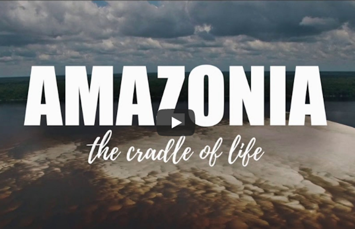 Amazonia "Cradle of Life" - Score The World (MÃºsica Original)