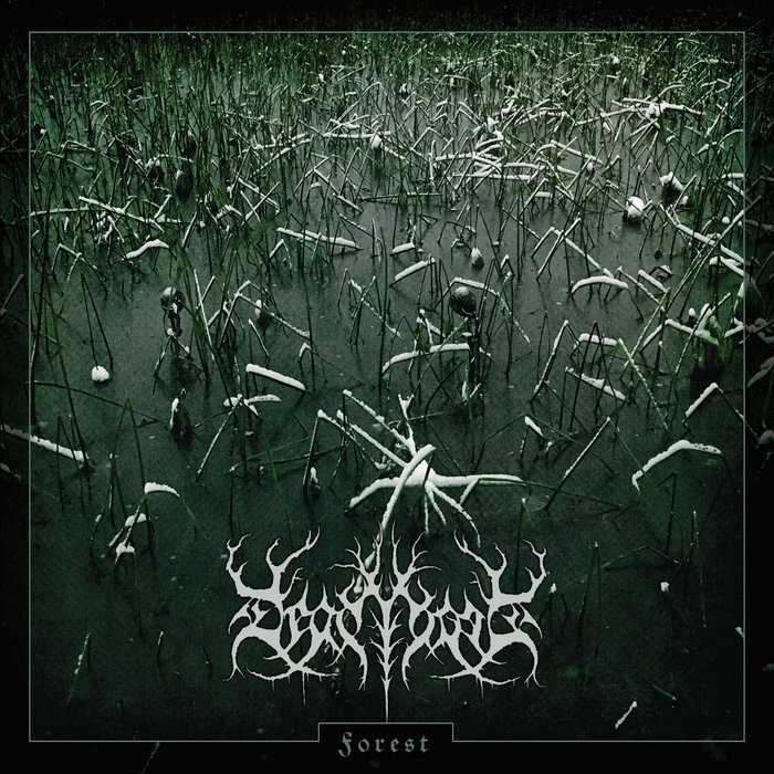 Forest Deadtrees Deadtrees