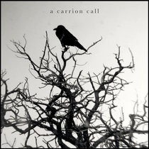 A Carrion Call cover art