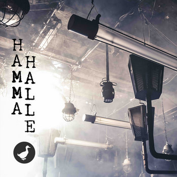 Hammahalle V.A.