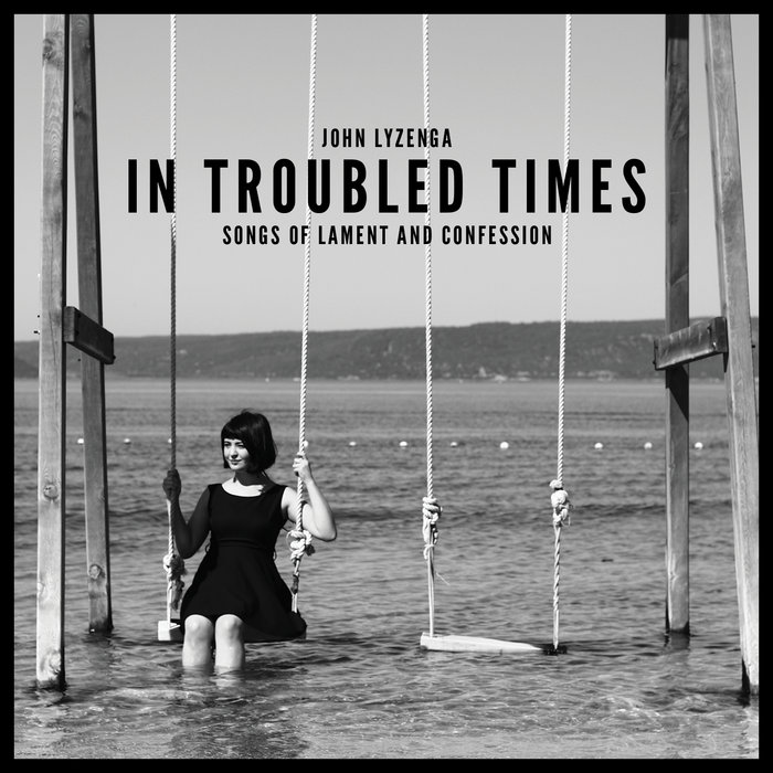 in-troubled-times-john-lyzenga