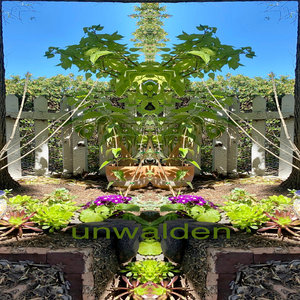 unwalden cover