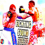 Fighting Sound Effects Sample Pack