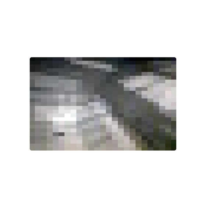 Starlux Exposed: The Moment You Forgot Forever