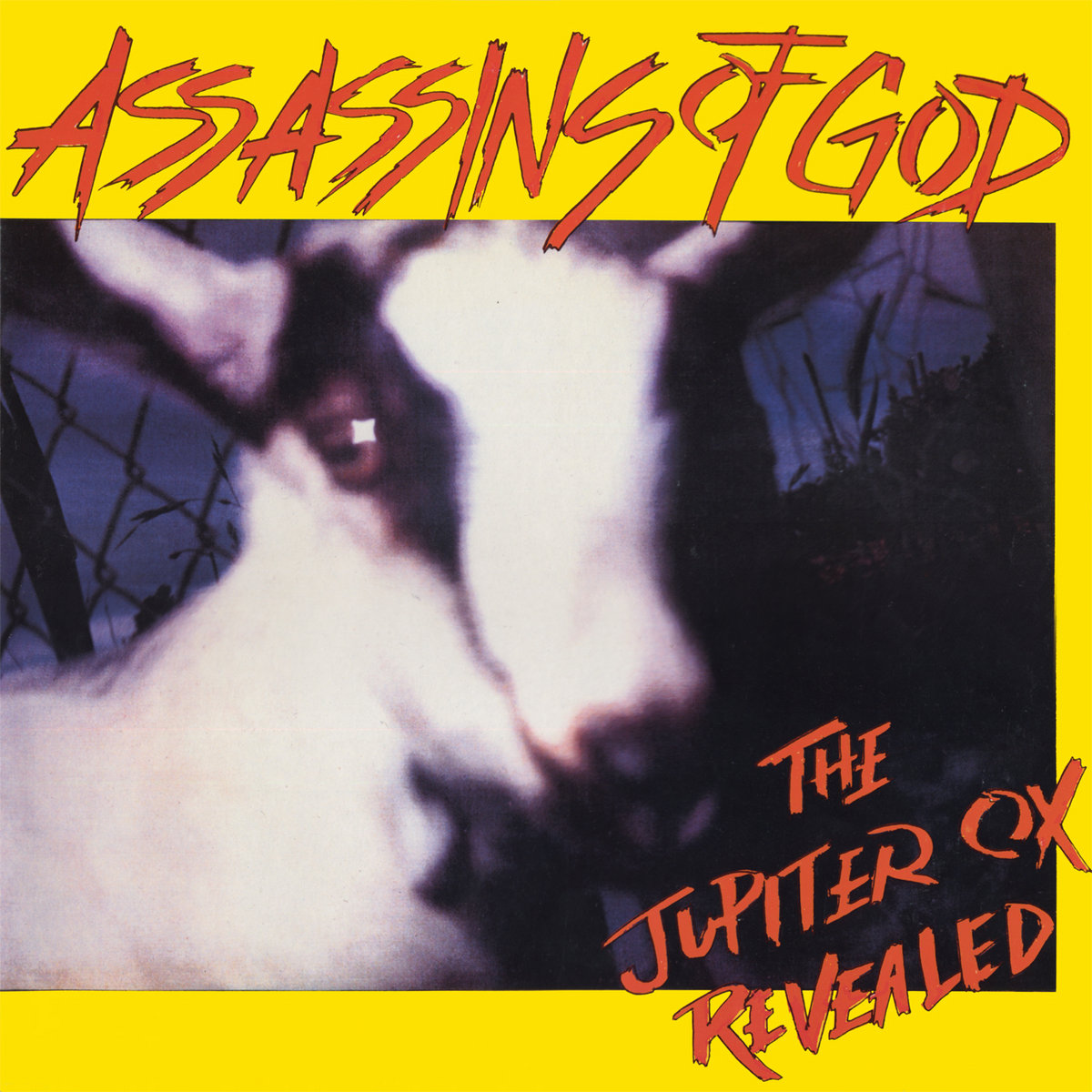The Jupiter Ox Revealed | Assassins Of God