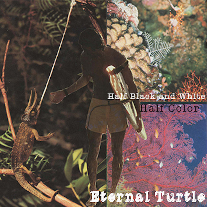 Half Color, Half Black and White Eternal Turtle