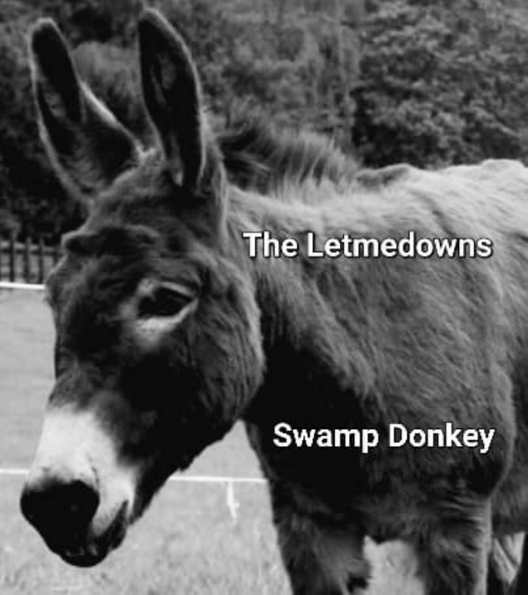 Swamp Donkey The Letmedowns