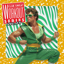 Various Artists — Workout Series Vol. 24