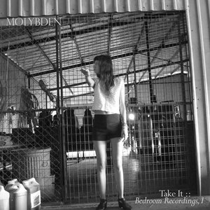 Take It cover
