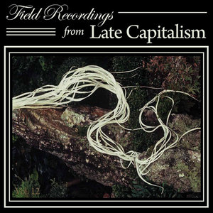 Field Recordings from Late Capitalism, Vol. 12 cover