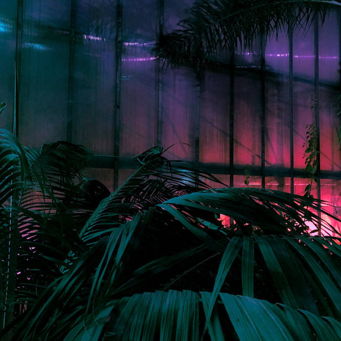 nicksmith109's collection | Bandcamp