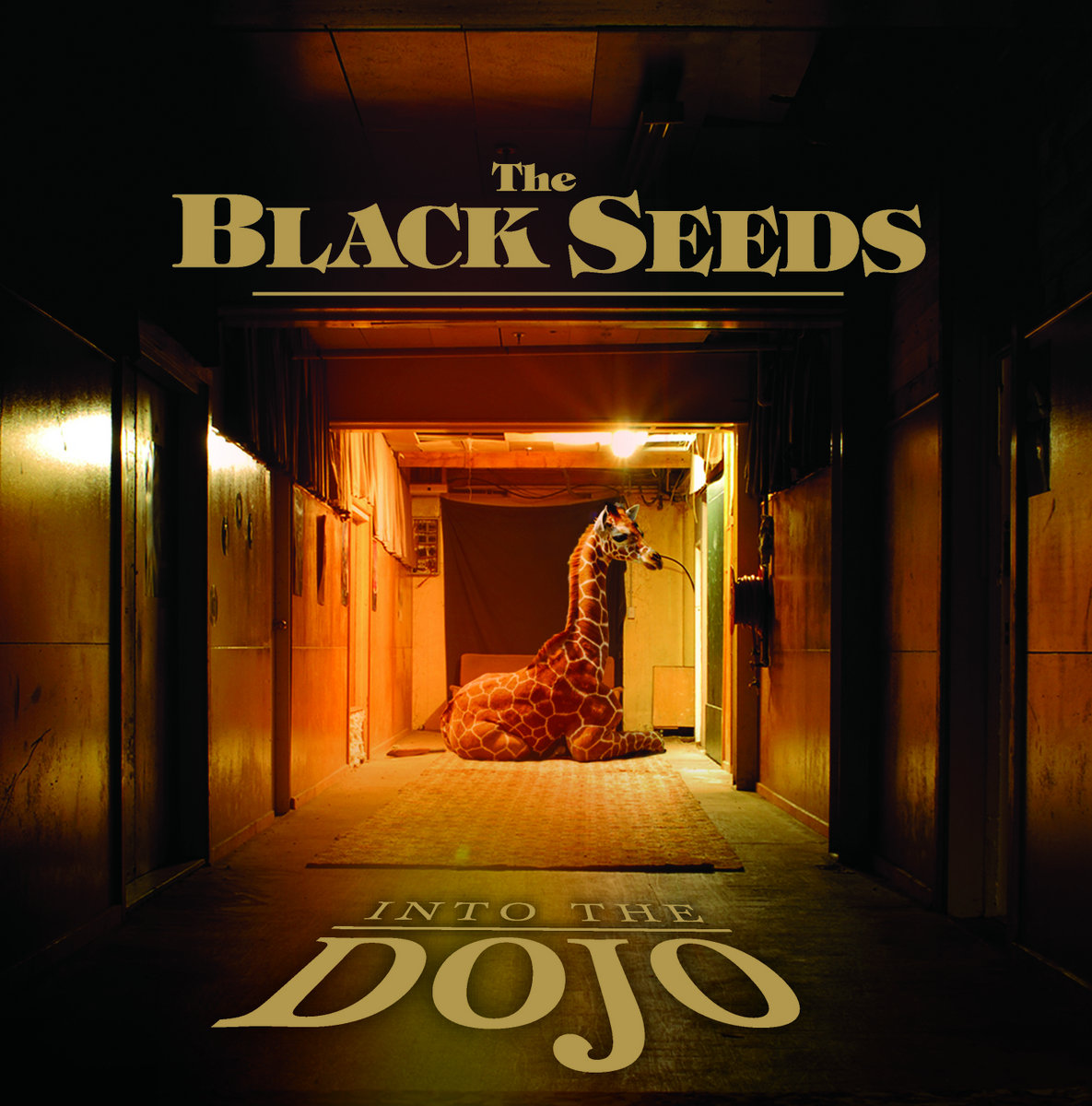 Cool Me Down | The Black Seeds