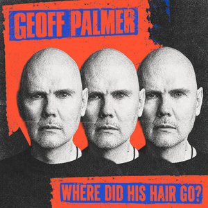 WHERE DID HIS HAIR GO? cover
