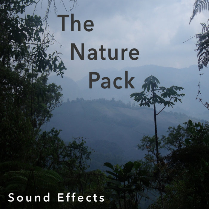 Pig And Dog Whimper | Sound Effects