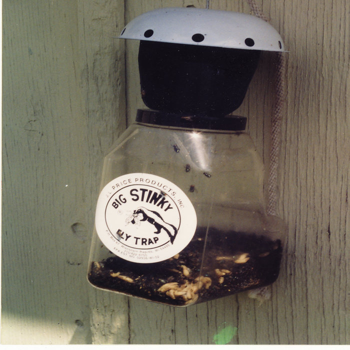 Big stinky fly trap cheap instructions