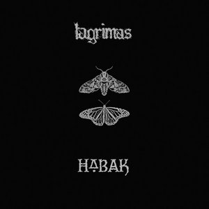 LAGRIMAS // HABAKlagrimas, habak cover