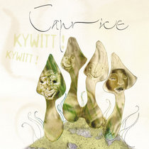 Caprice — Kywitt! Kywitt!