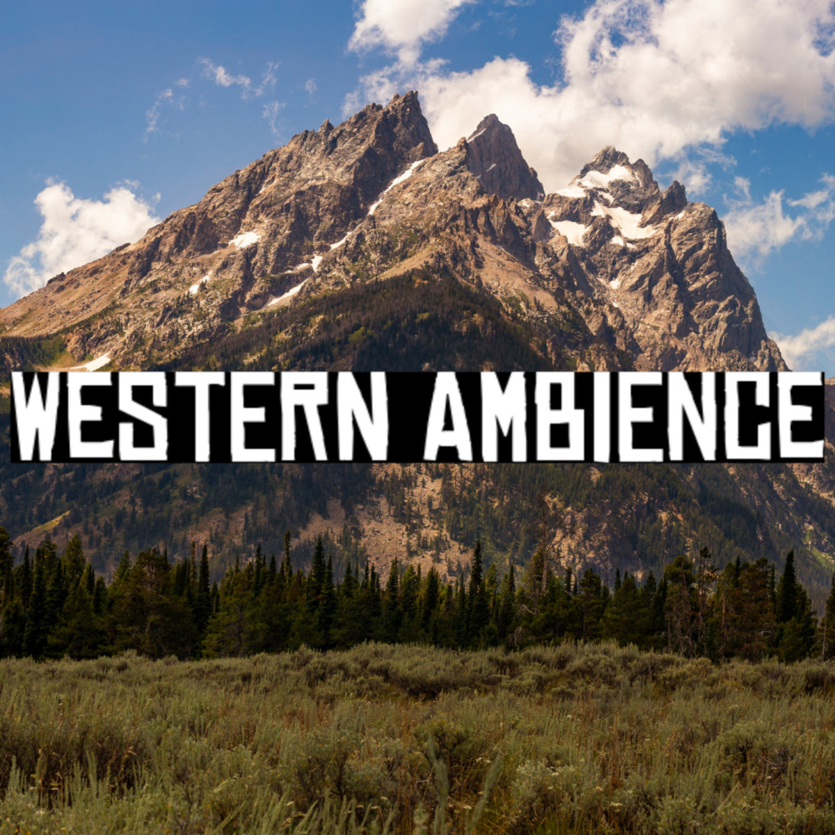 Western Ambience | Steven Lynn