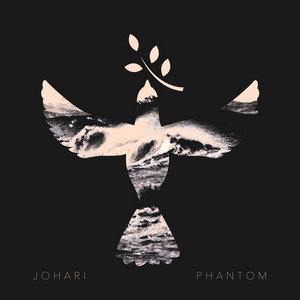 Phantom cover