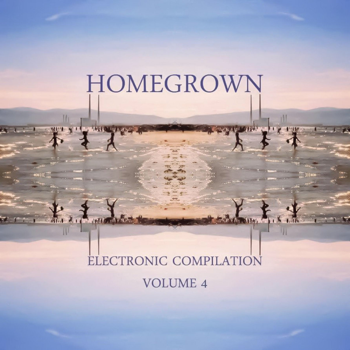 HomeGrown Electronic Volume 4 cover