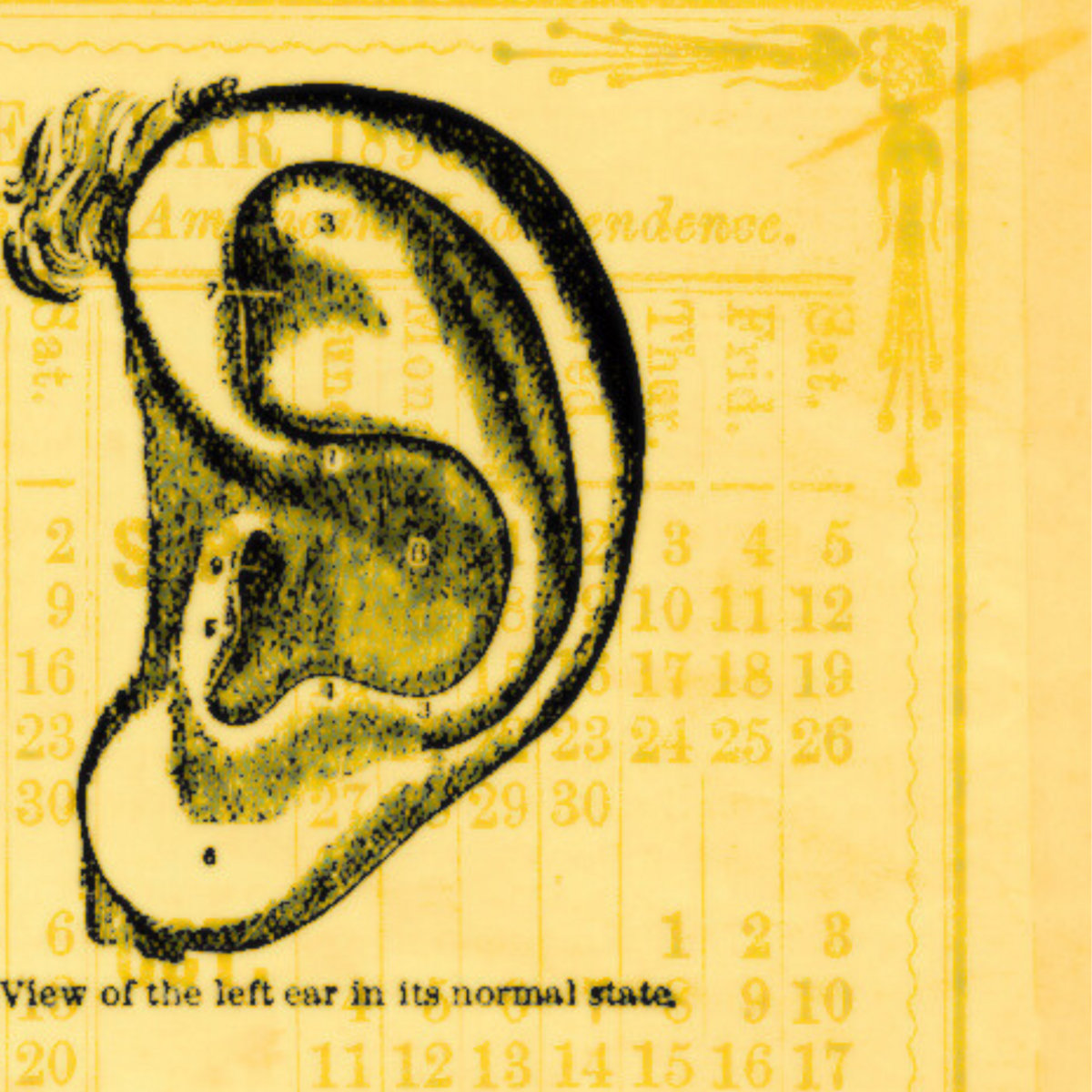 Hearing | Salzig Noise / P~R~Z | GATES of HYPNOS