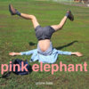 pink elephant Cover Art