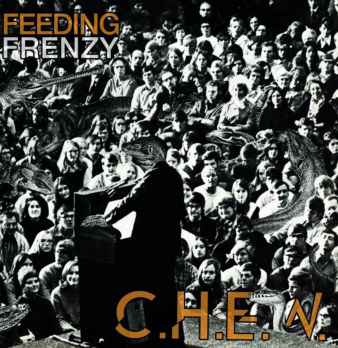 chew feeding frenzy download chew feeding frenzy download