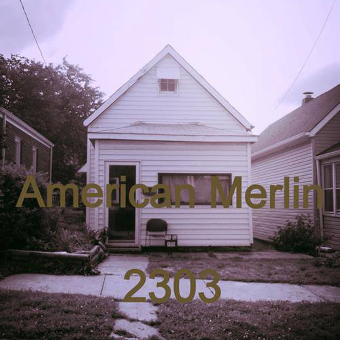 2303 | American Merlin | Waybridge Records