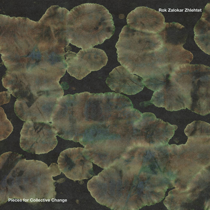 Pieces for Collective Changevon Rok Zalokar Zhlehtet