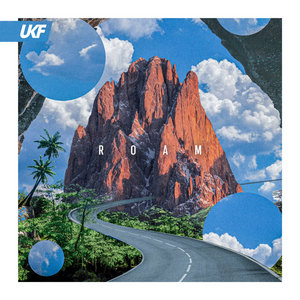 Roam cover