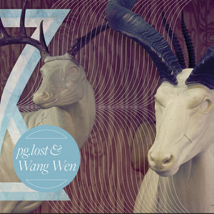 pg.lost / Wang Wen - Split cover
