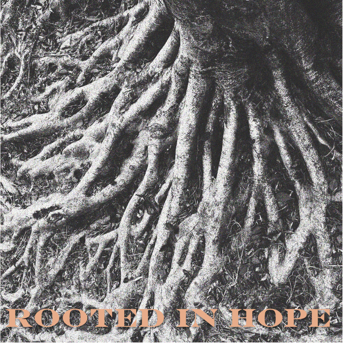 Rooted In Hope (May 2025) | Organic Worship Bristol