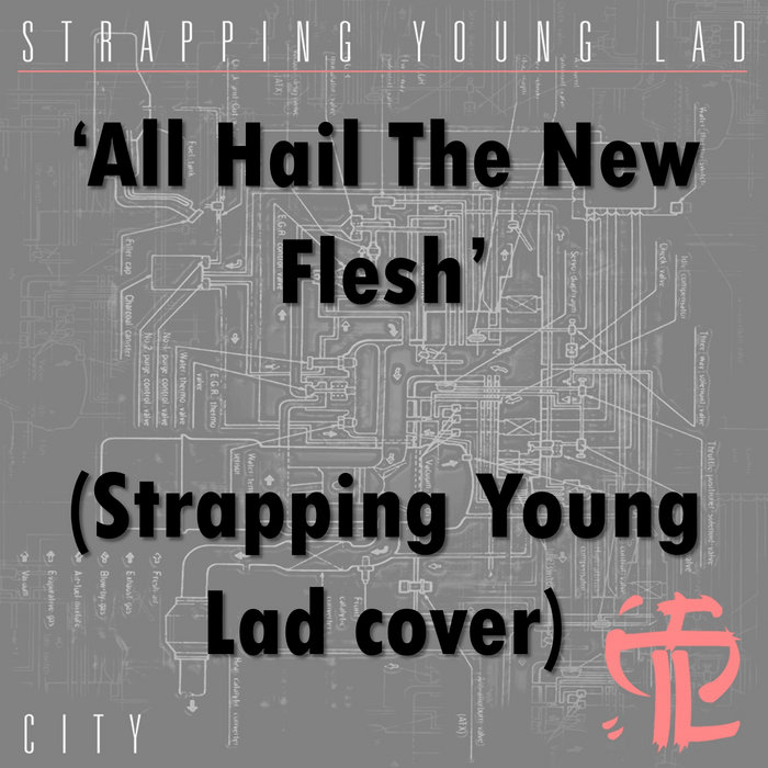 All Hail The New Flesh (Strapping Young Lad cover) DEV50