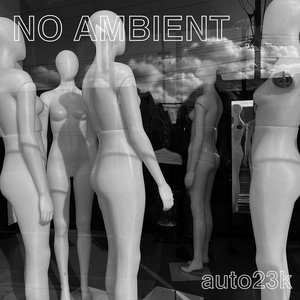 Asinine — NO AMBIENT