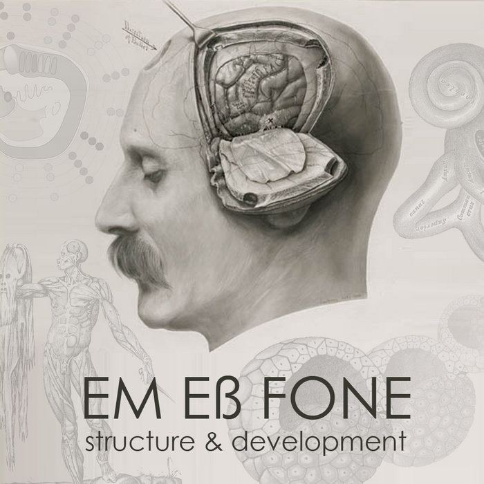 Structure & Development | Em Ess Fone