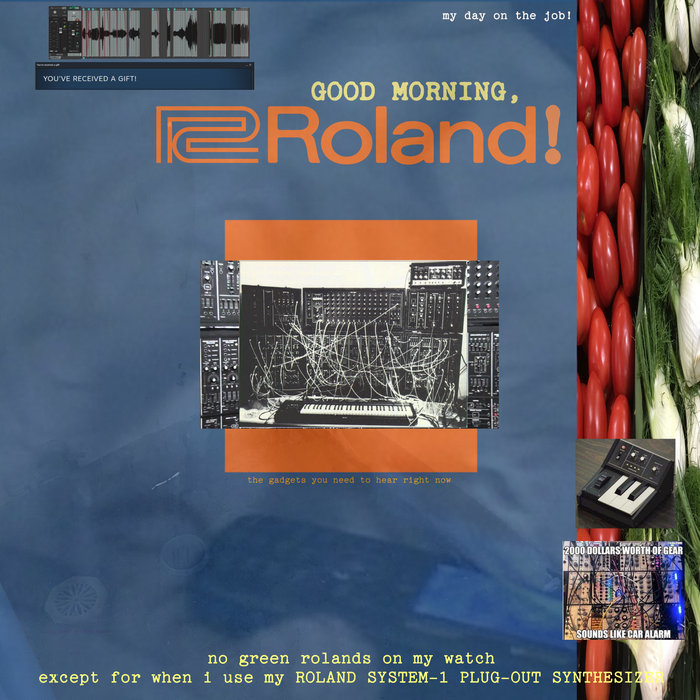 Good Morning, Roland! | Shock Therapy For Geese