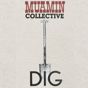 DiG cover
