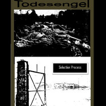 Selection Process 'Todesengel' album (2023) cover art